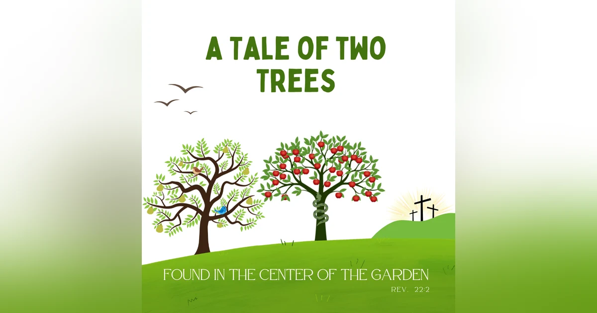 Message Monday - Tale of Two Trees