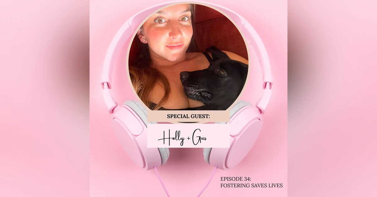 Fostering Animals Saves Lives: The Story of Sweet Gus, disabled Great Dane + Black Lab mix