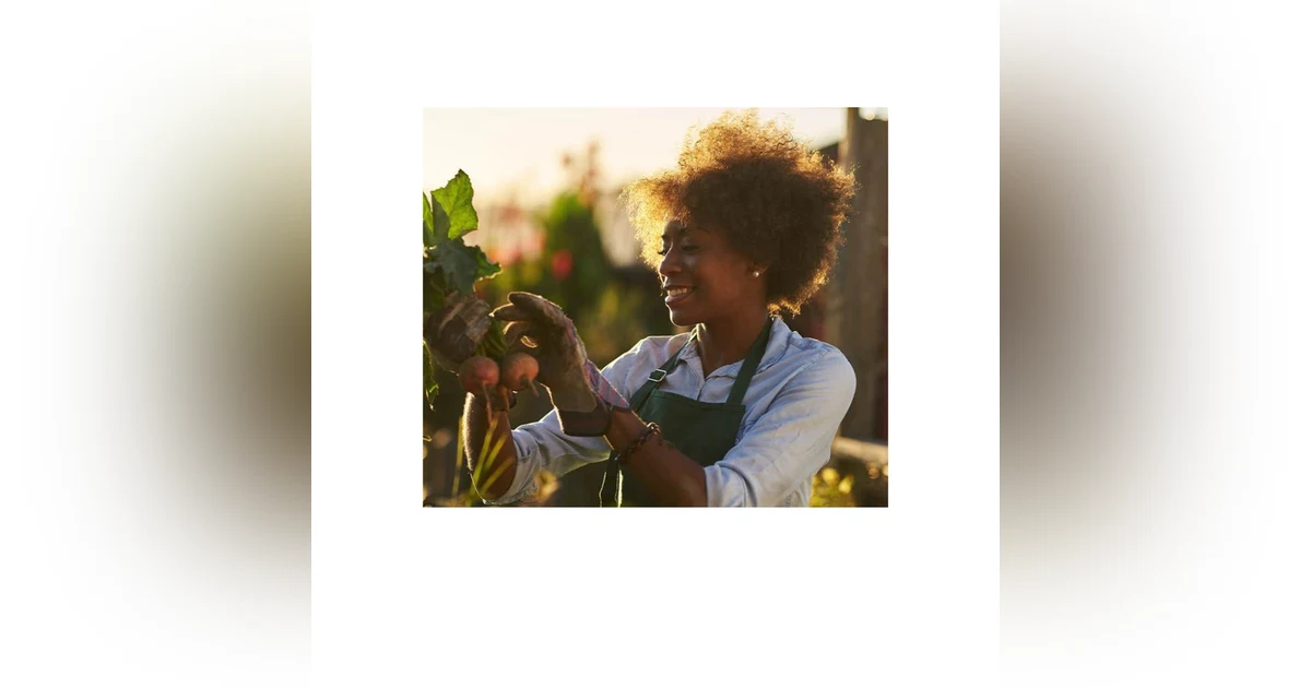 Rewrite Your Story:  Practical Steps to Reclaim Your Passion After the Empty Nest