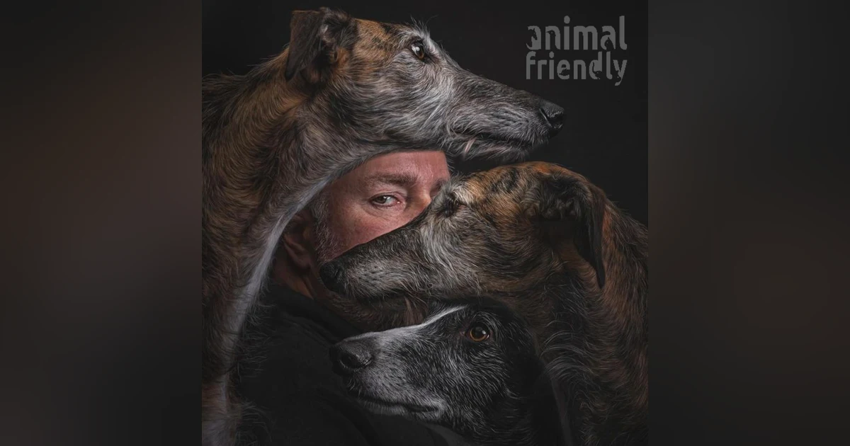 14. The Heart of a Galgo