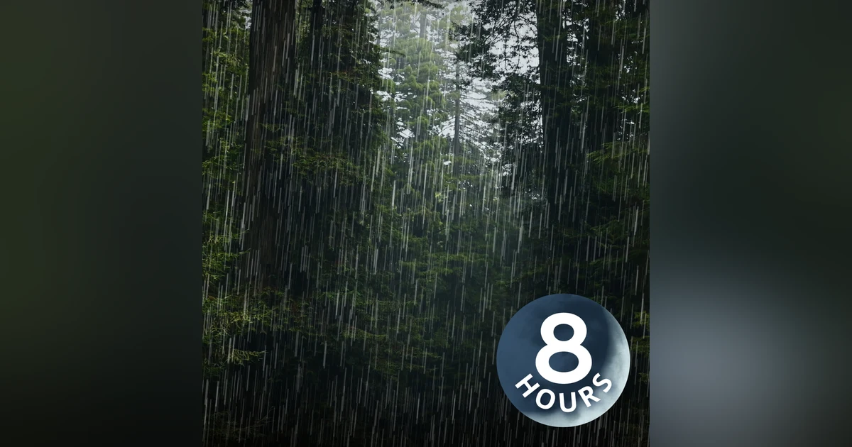Heavy Rain Sounds for Sleeping & Relaxing | 8-Hour
