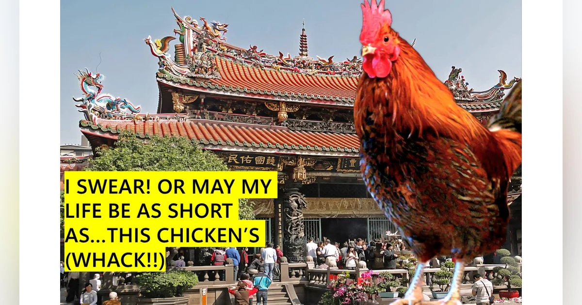 Swearing with Chickens, and other Taiwan Bird Adventures – S5-E31