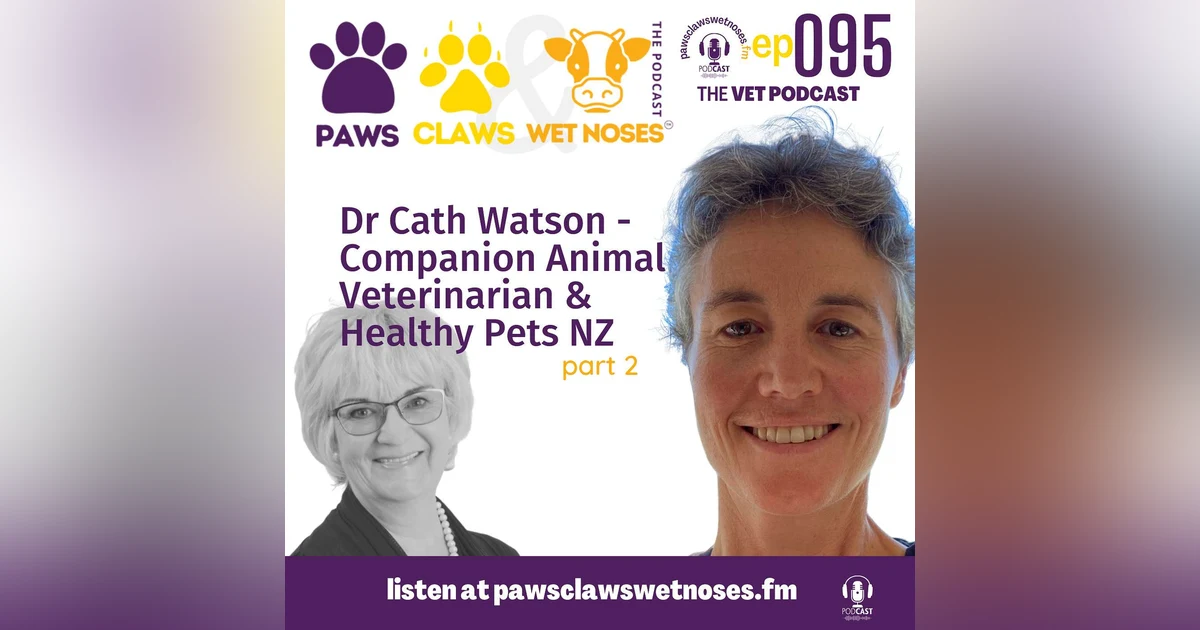 Dr Cath Watson - Companion Animal Veterinarian - Healthy Pets New Zealand - pt2 095