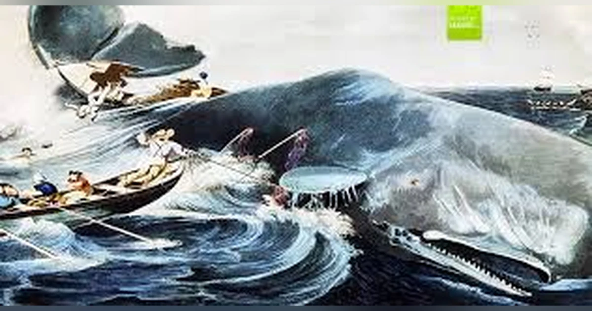 THE HUNT FOR THE REAL MOBY DICK (remastered)