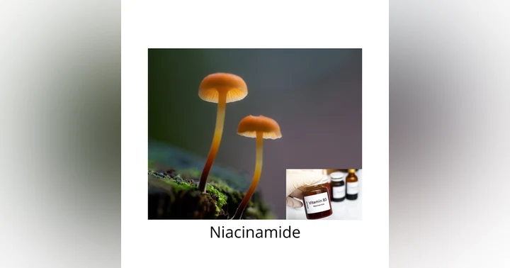 image for Niacinamide Explained: Skin Barrier Repair, Hydration and Hyperpigmentation