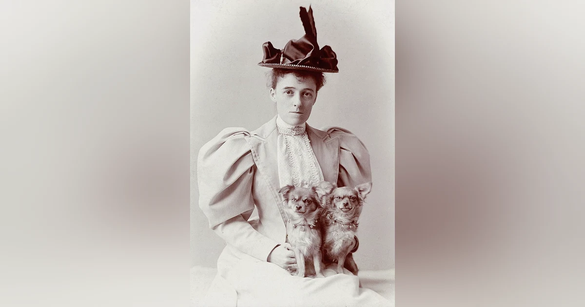 477 Does Edith Wharton Hate You? (Part 2 - "The Vice of Reading")