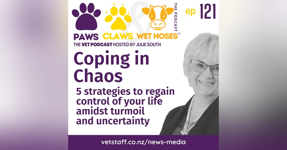 Coping in Chaos - 5 strategies to regain control of your life amidst turmoil and uncertainty - ep 121