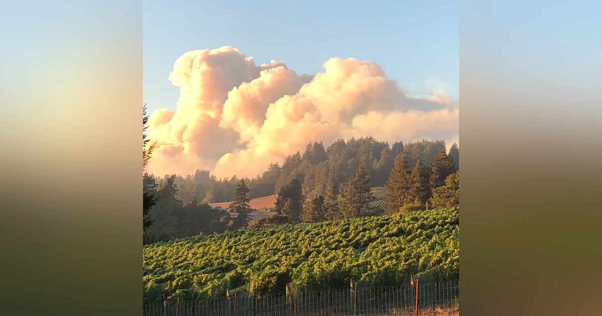 Wine Country Wildfires: the ungovernable State of California