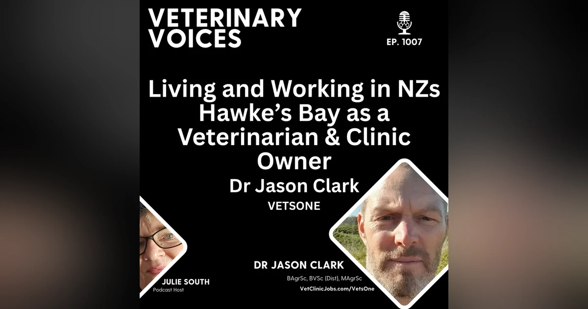 Vet Clinic Employer of Choice:  VetsOne - Hawke's Bay NZ - Dr Jason Clark - Veterinarian + Director | ep.1007