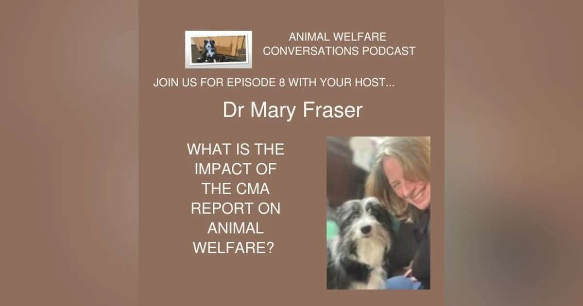Episode 8 - Animal welfare and the CMA report