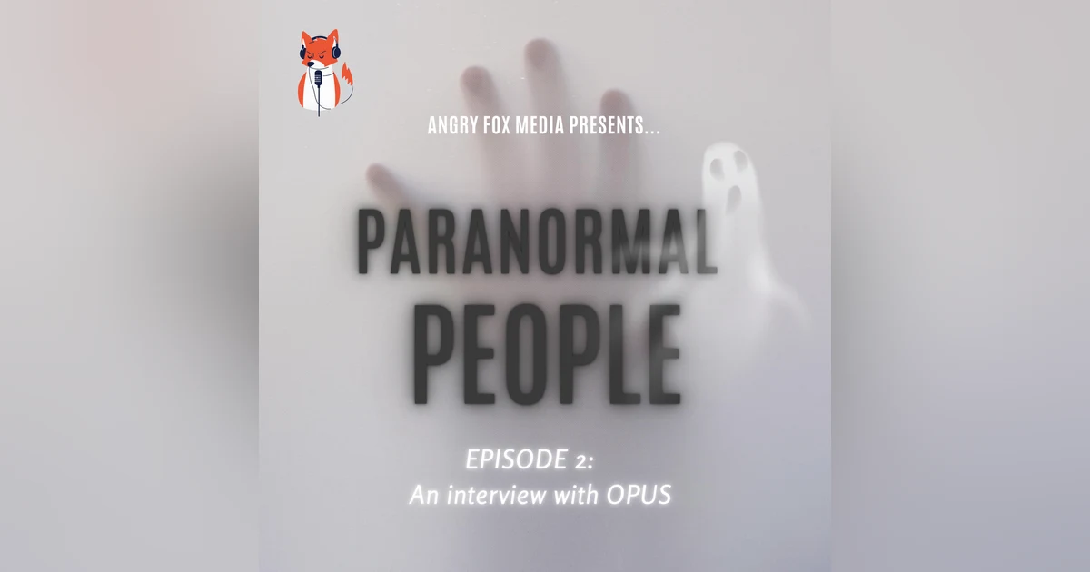 Episode 2 - An interview with OPUS