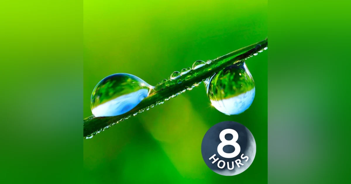 Rain Sound for Sleeping 8 Hours | White Noise Rainstorm