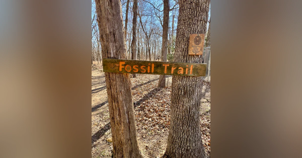 Fossil Finds and Fort Gibson Lake Adventures: Exploring Sequoyah State Park