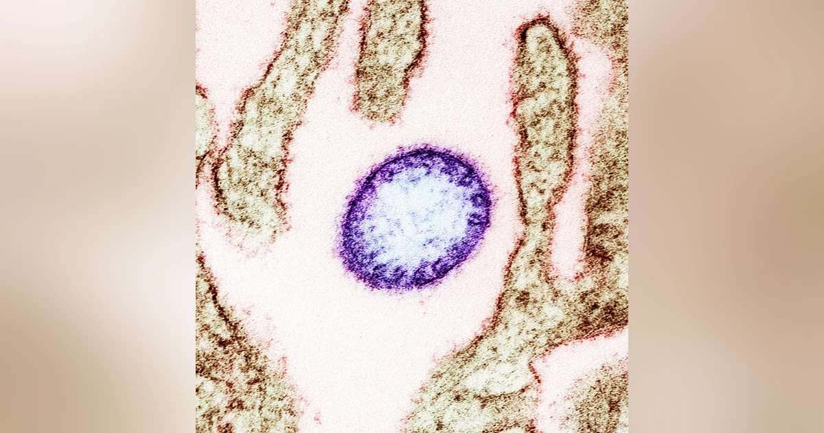 S2 E5: Bats in Your Belfry: The Potential of Nipah Virus