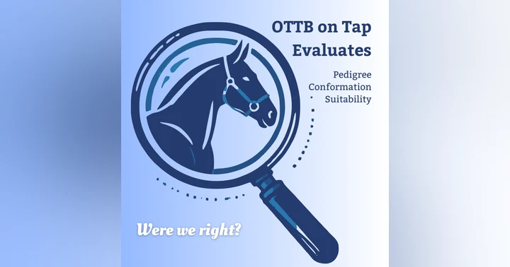 image for Were We Right? Owners Respond to Our OTTB Evaluations – Vol. 3