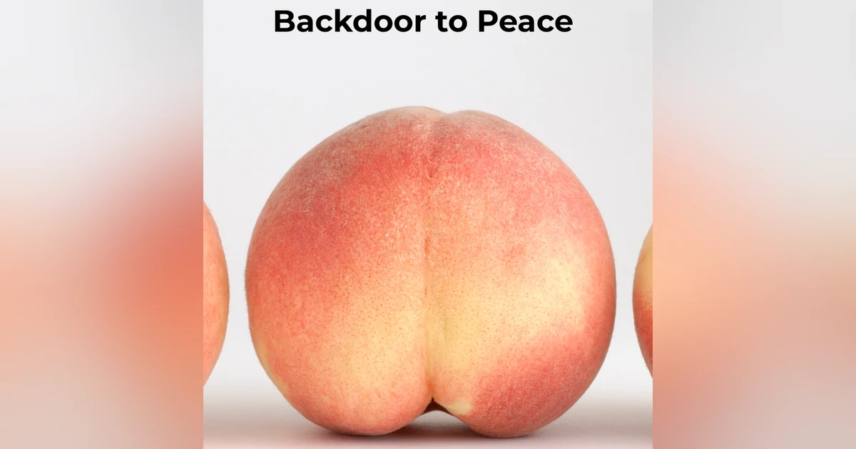 Backdoor to Peace: Your Nervous System, Your Anus, and the Pleasure of Letting Go
