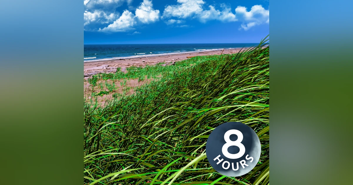 Ocean Waves and Gentle Breeze 8 Hours | Listen To Calm Your Mind & Relax