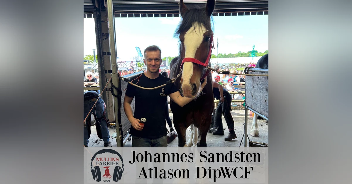 Johannes Sandsten Atlason DipWCF