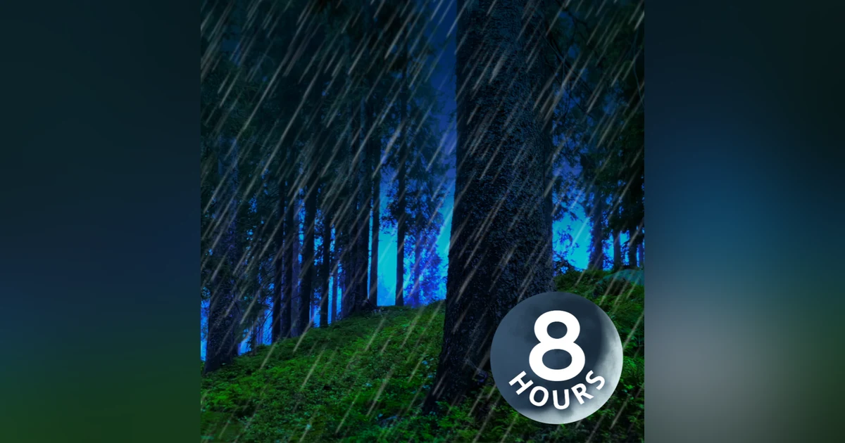 Relaxing Rain Sounds Deep in the Woods 8 Hours
