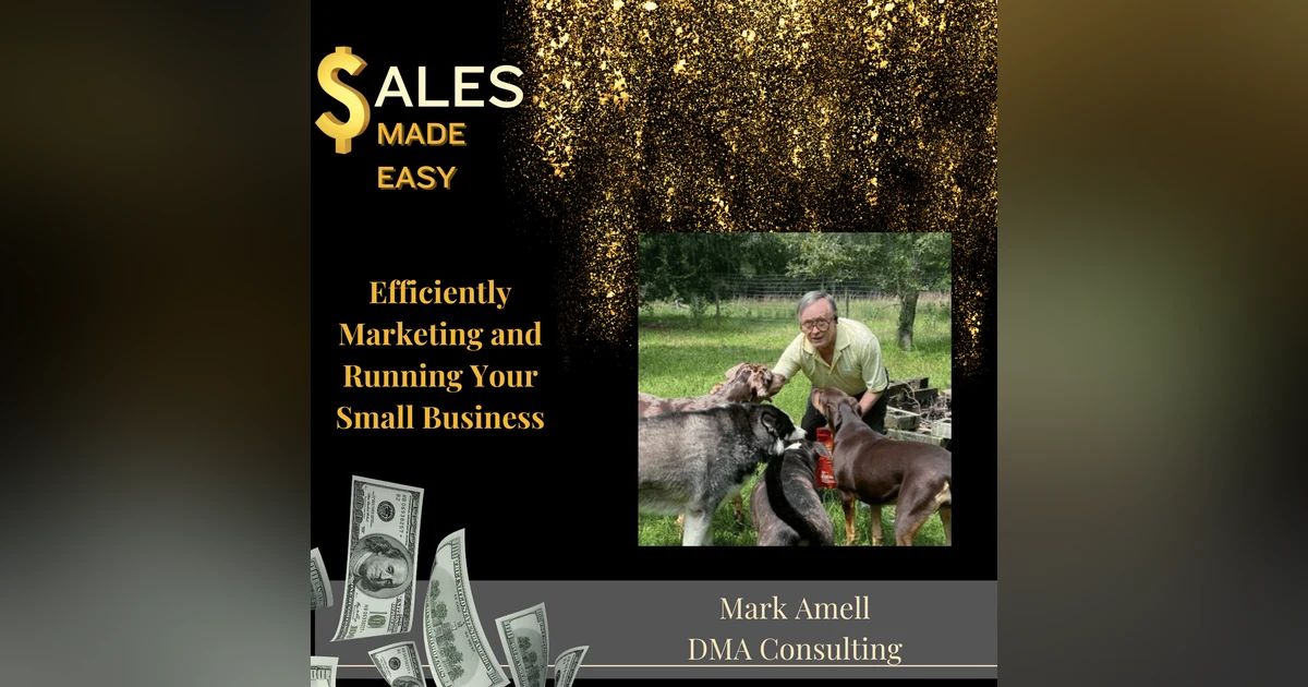 Efficiently Marketing and Running Your Small Business With Mark Amell