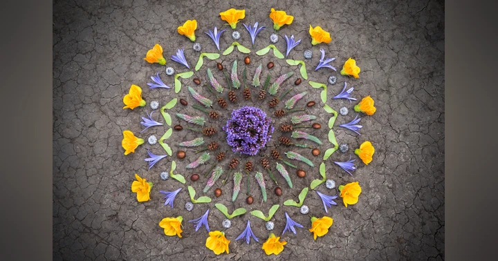 image for Embracing the Power of Ritual and Sacred Moments with Author Day Schildkret