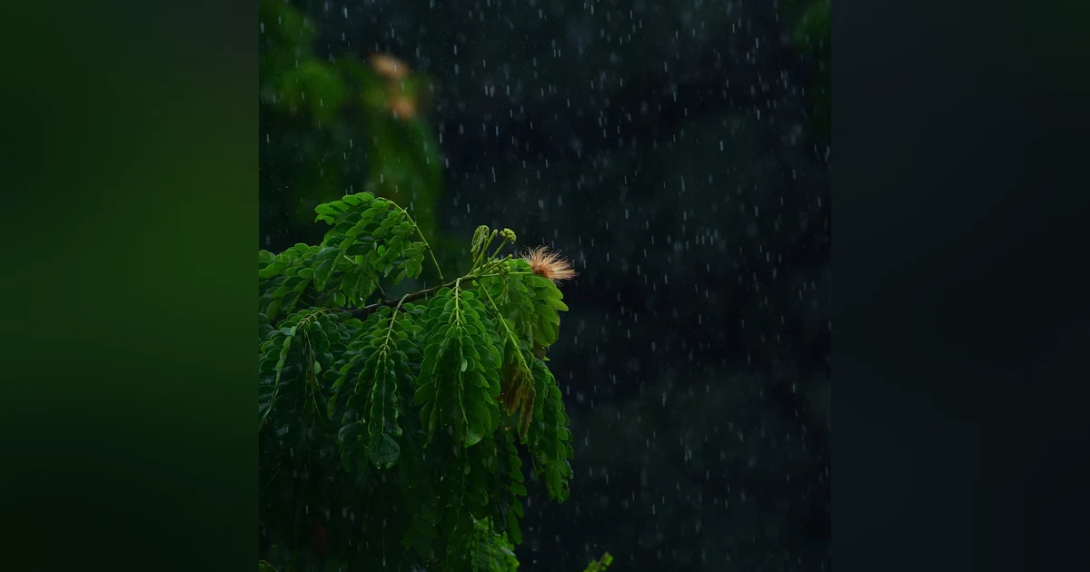 Sonido de lluvia fuerte. Muy Relajante para dormir
