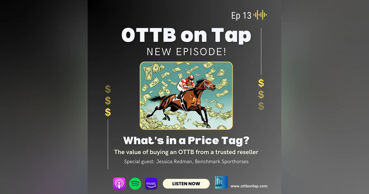 Ep. 13: What's a price tag? The value of buying an OTTB from a trusted reseller