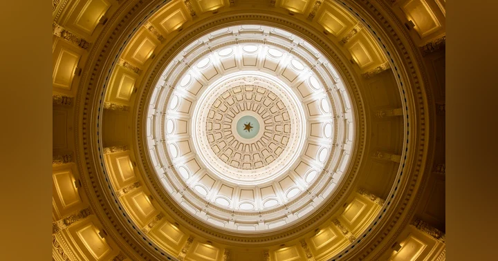 image for Allen Area Delegation Texas House Committee Assignments