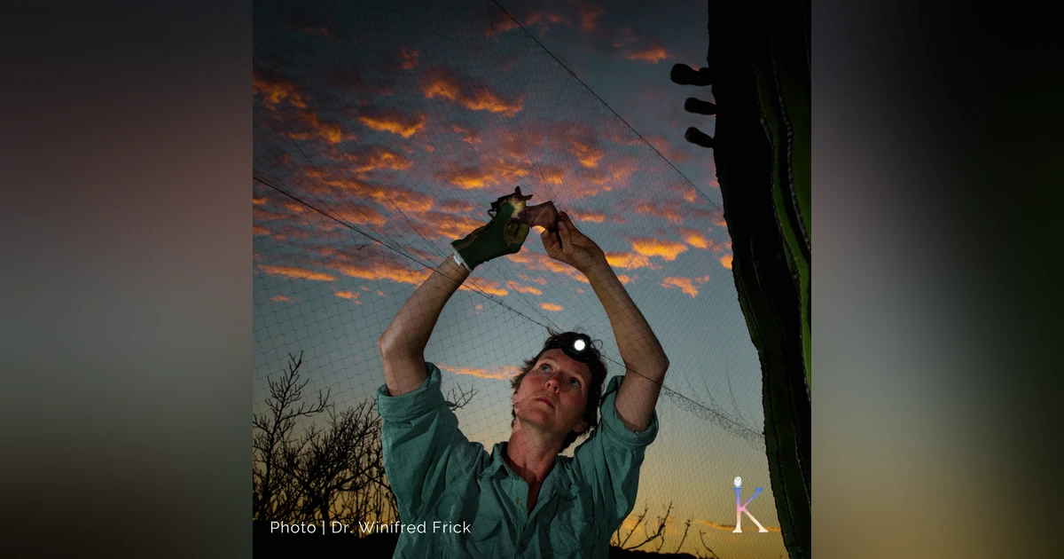 Bat Woman | With Dr. Winifred Frick, Research Biologist and Chief Scientist