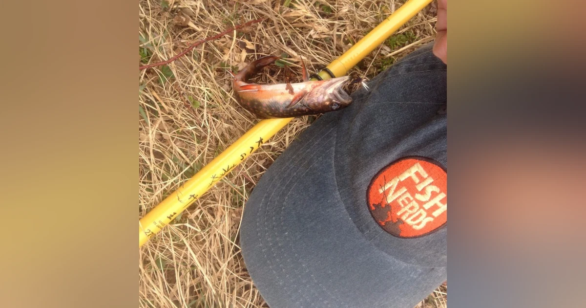 NaPodPoMo 15 How to Set Up Tenkara Rod