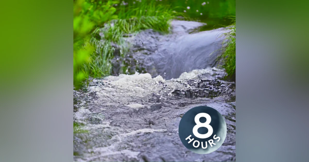 Relaxing Stream for Sleep, Studying or Stress Relief | 8 Hours Soothing Water Sounds White Noise