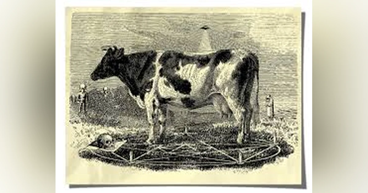 UNSOLVED MYSTERIES: CATTLE MUTILATIONS, UFO'S & BLACK OPS