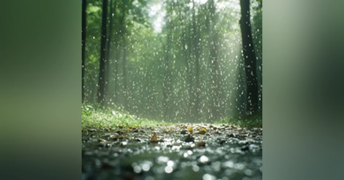 La mejor lluvia para dormir 2 horas