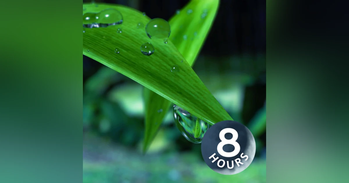 Rain at Night in Hawaii 8 Hours | Sleep, Study or Relax with White Noise Rainstorm Sounds