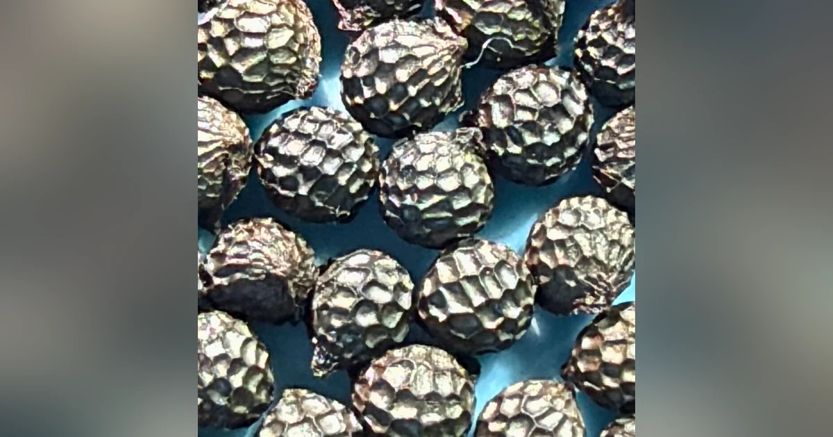 Seeds with Cheryl Birker