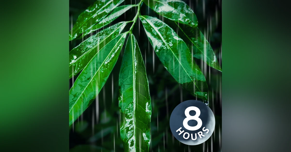Rain Sounds for Peaceful Sleep | 8 Hours