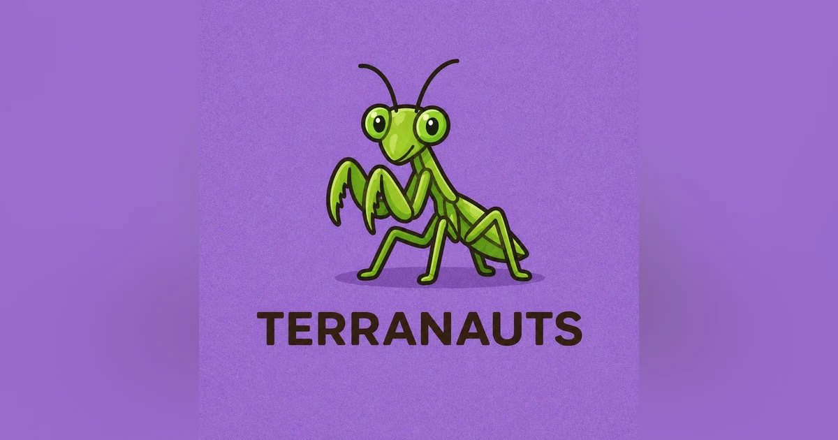 Praying mantis!