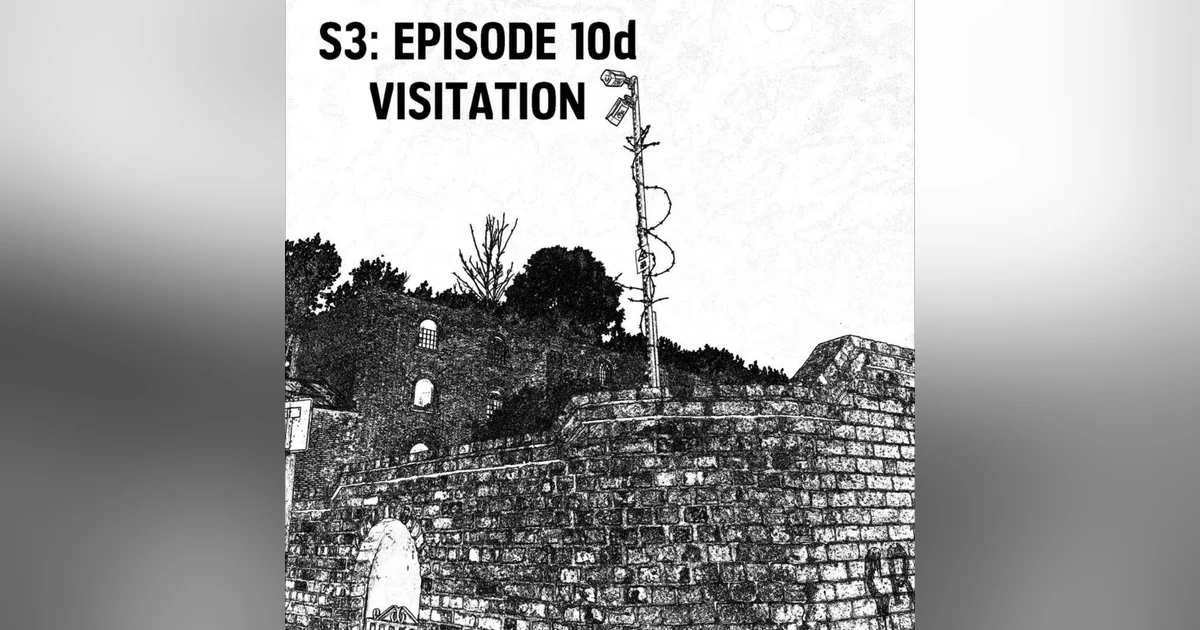 S3: E10d - Visitation