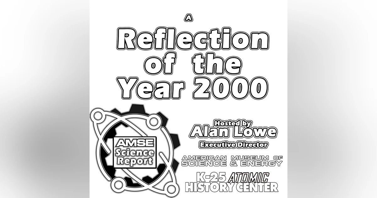 A reflection of the year 2000
