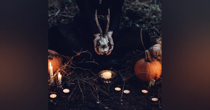 image for Samhain and the Halloween Connection