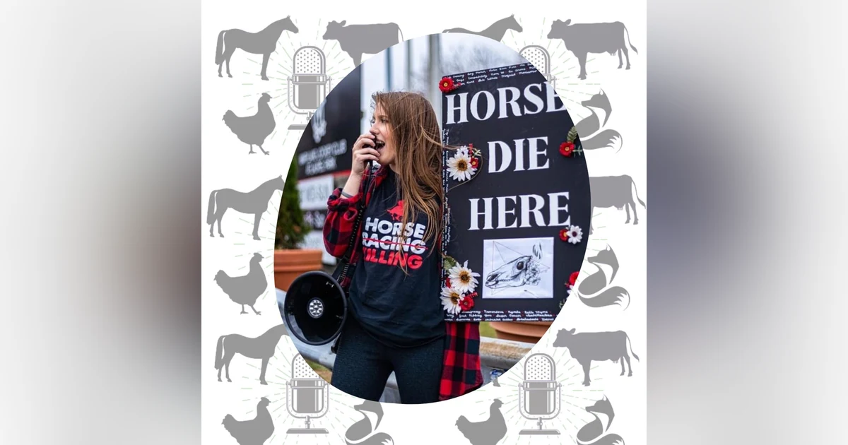 Insights from a New Generation Activist