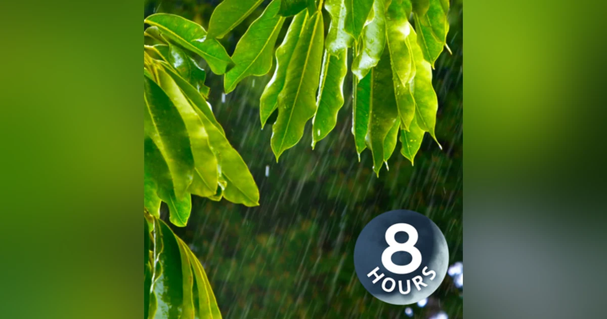 Spring Rain Sounds to Relax, Sleep or Focus | Rainstorm White Noise 8 Hours
