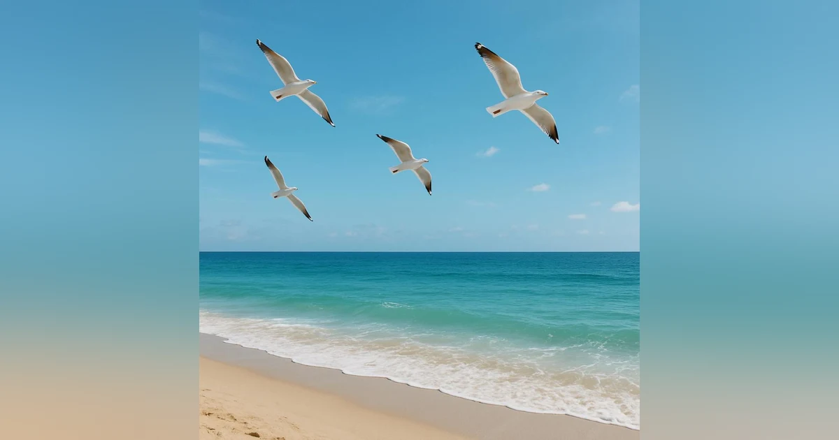 Beach Ambience with Seagulls | Relaxing Ocean Sounds for Sleep & Study