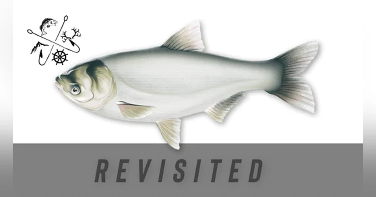 EP. 234 Earth Day Celebration Revisited Series: Asian Carp