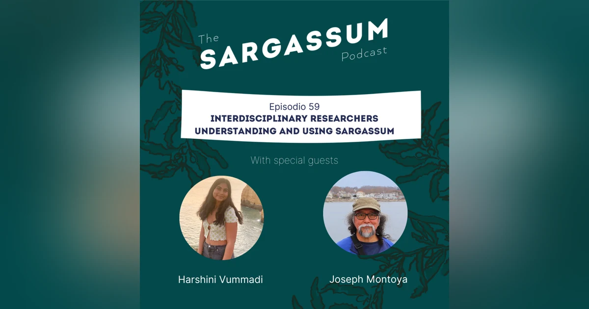 E59 Interdisciplinary researchers exploring and using Sargassum