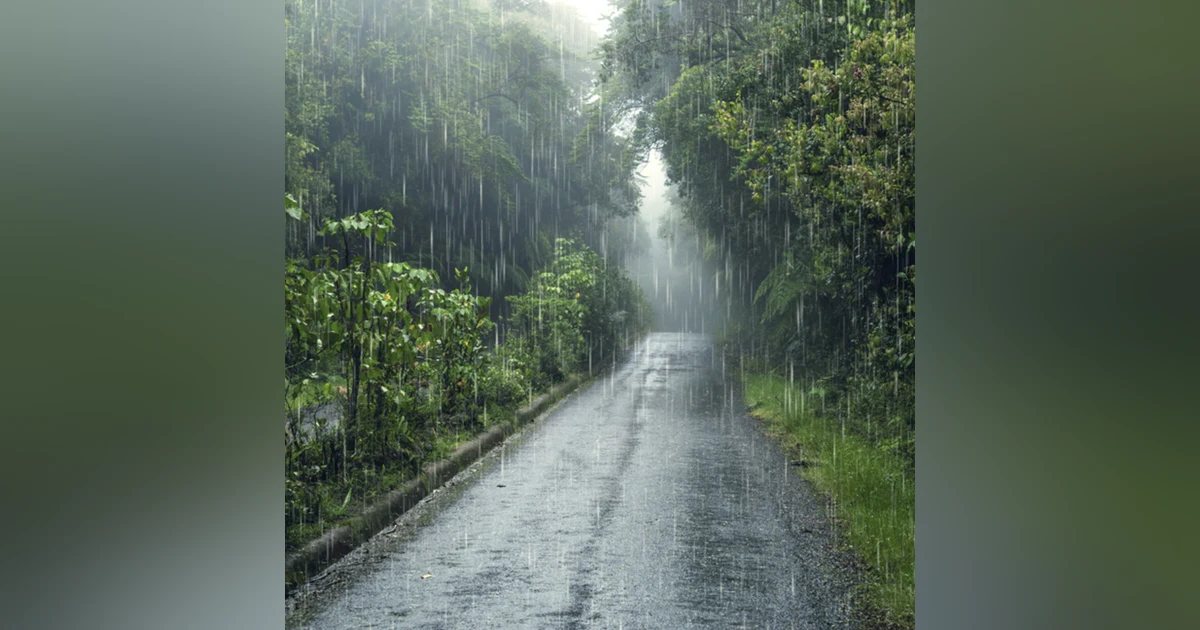 8 horas de solo sonido de lluvia fuerte para dormir.