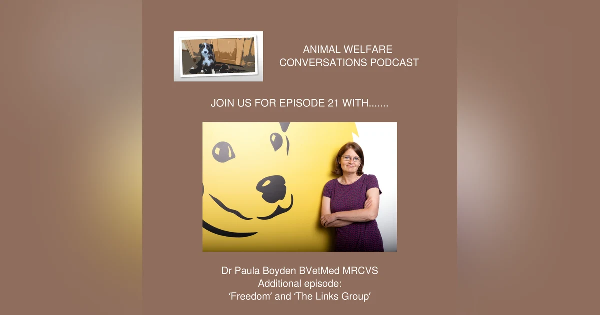 Dr Paula Boyden - The Links Group and Freedom Project