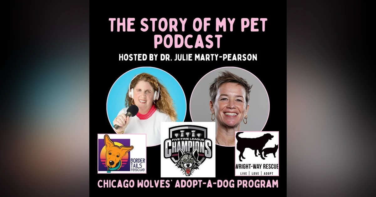 Continuing the Game of Giving: Courtney Mahoney and Chicago Wolves Community Commitment