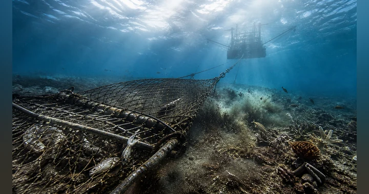 image for Are We Paying to Damage the Ocean?