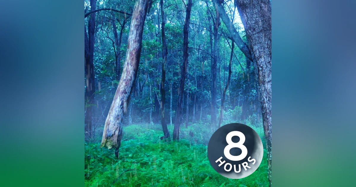 Fall Asleep to Rainstorm Sounds 8 Hours